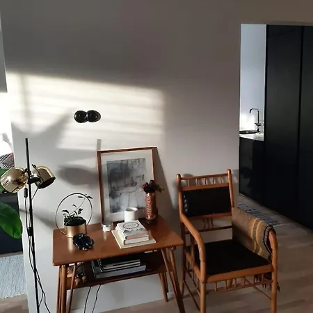 Tilava Saunallinen Kolmio Apartment Jyvaskyla